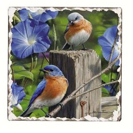 COUNTERART Counter Art CART11180 Bluebirds Number 3 Single Tumbled Tile Coaster CART11180